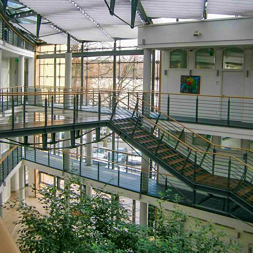 Foto von Innenraumbeschattung zum Schutz der Pflanzen vor Überhitzung