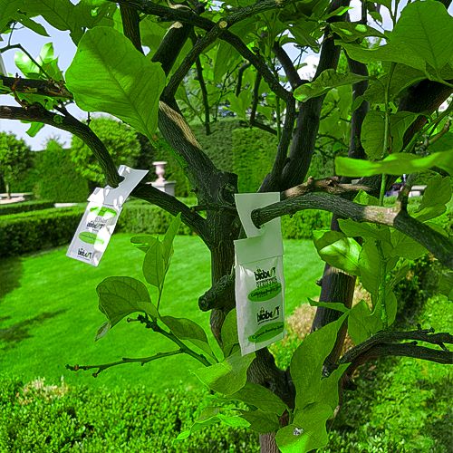 Foto von Nützlingstüte an Citrus