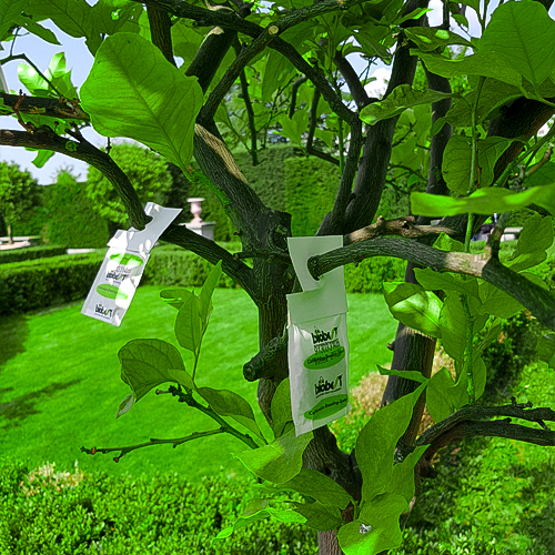 Foto von Nützlingstüte an Citrus