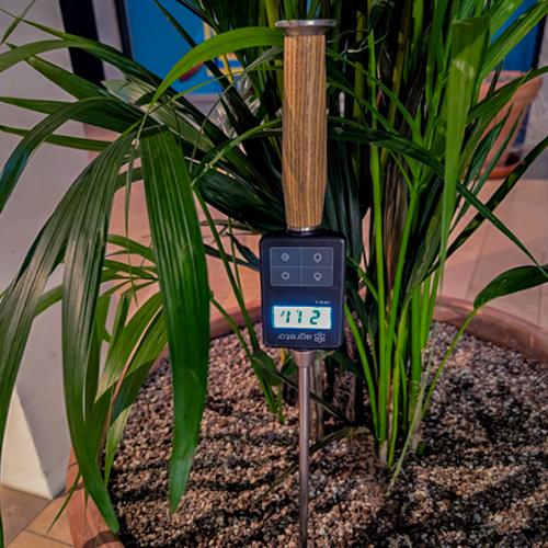 Foto eines digitalen Feuchtigkeitsmessers in einem Pflanzkübel