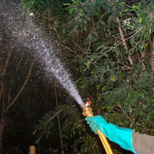 Foto vom Ausbringen von Nematoden