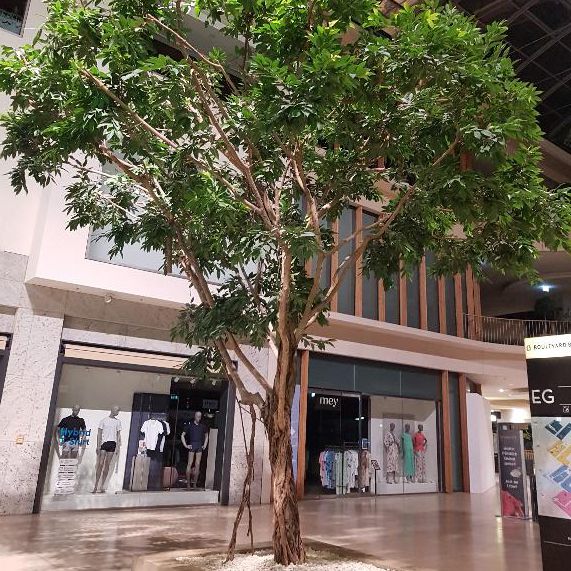 Beispiel für die Innenraumbegrünung mit Bäumen