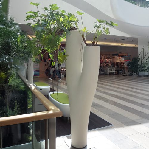 Beispiel für die Innenraumbegrünung mit Gefäßen