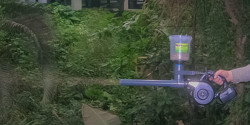 Einsatz eines Blasgeräts zur Verteilung von Raubmilben