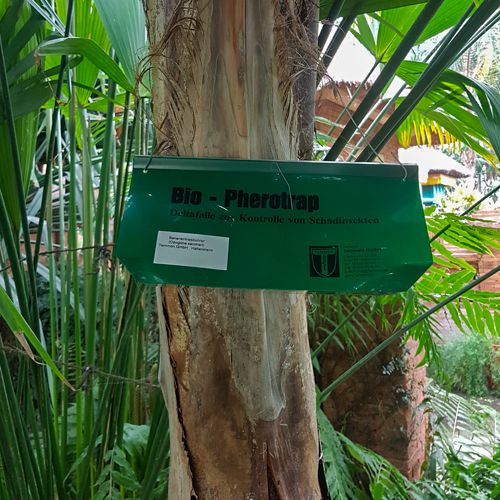 Beispiel für die Überwachung von Schädlingen